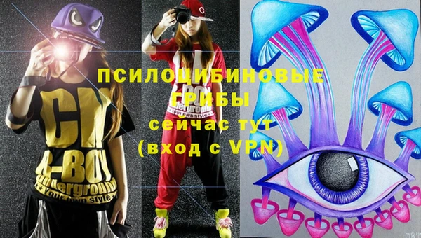 крисы Аркадак