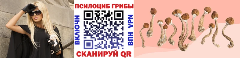 Галлюциногенные грибы MAGIC MUSHROOMS  Олонец 